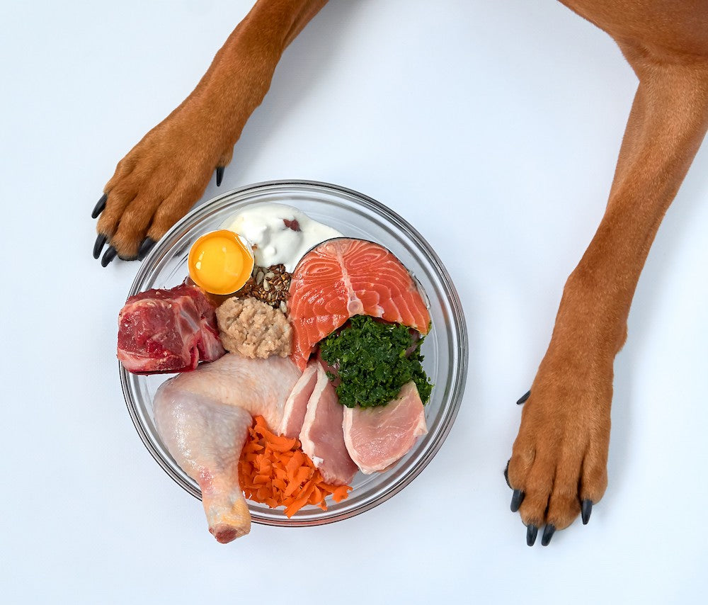 People Food for Dogs