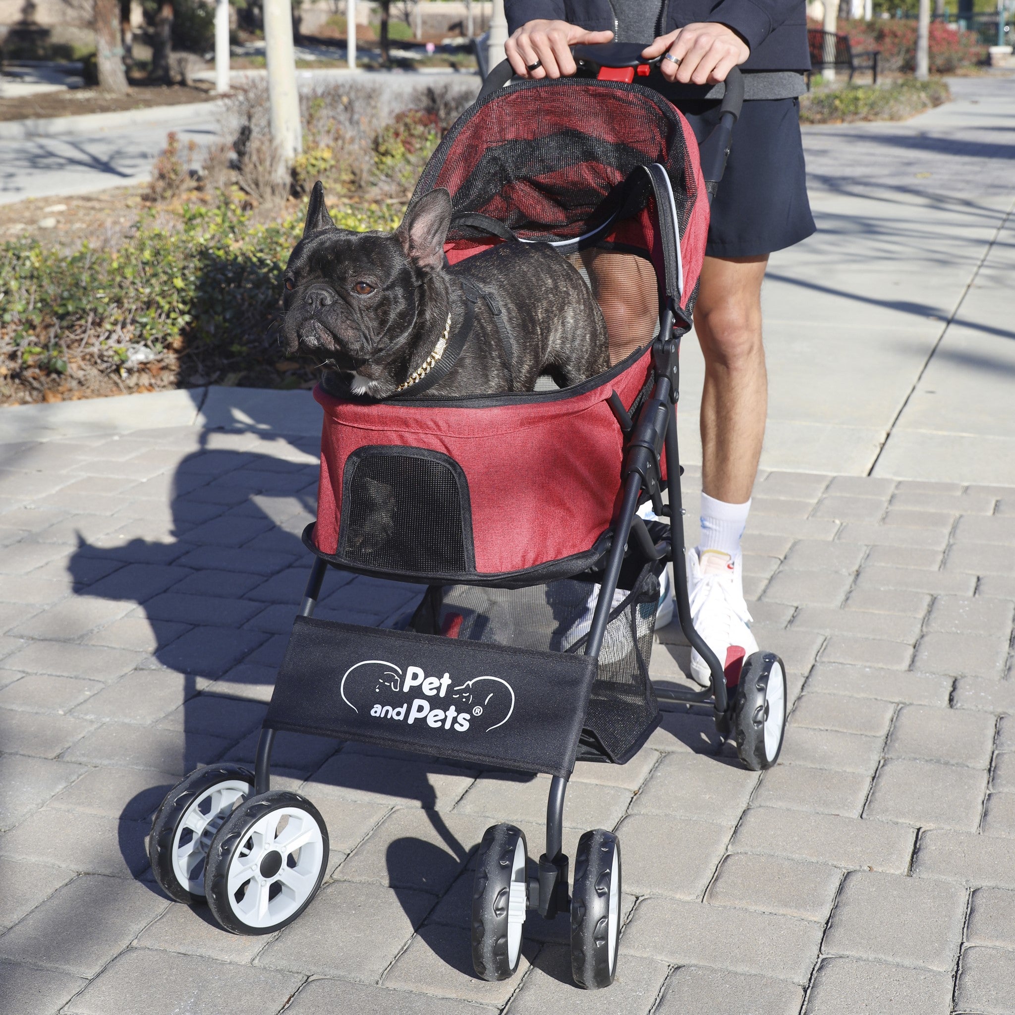 red dog stroller Catalina Pet Stroller
