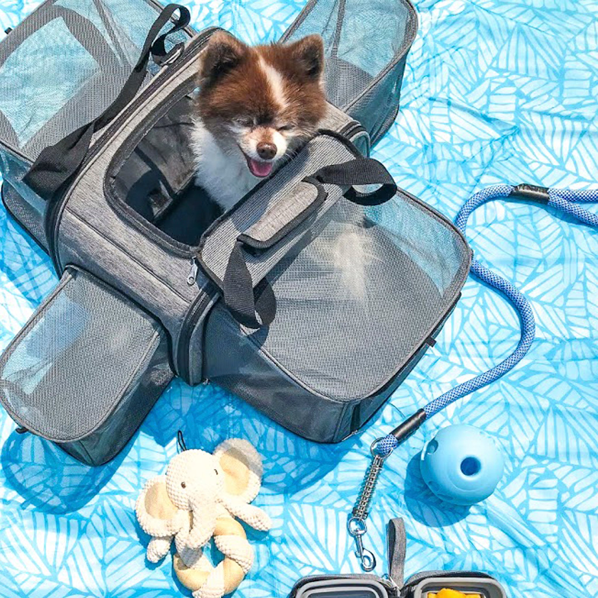 【No.206】Petique Happy Camper ペットキャリー Happy Camper Pet Carrier – Love Pet Products USA