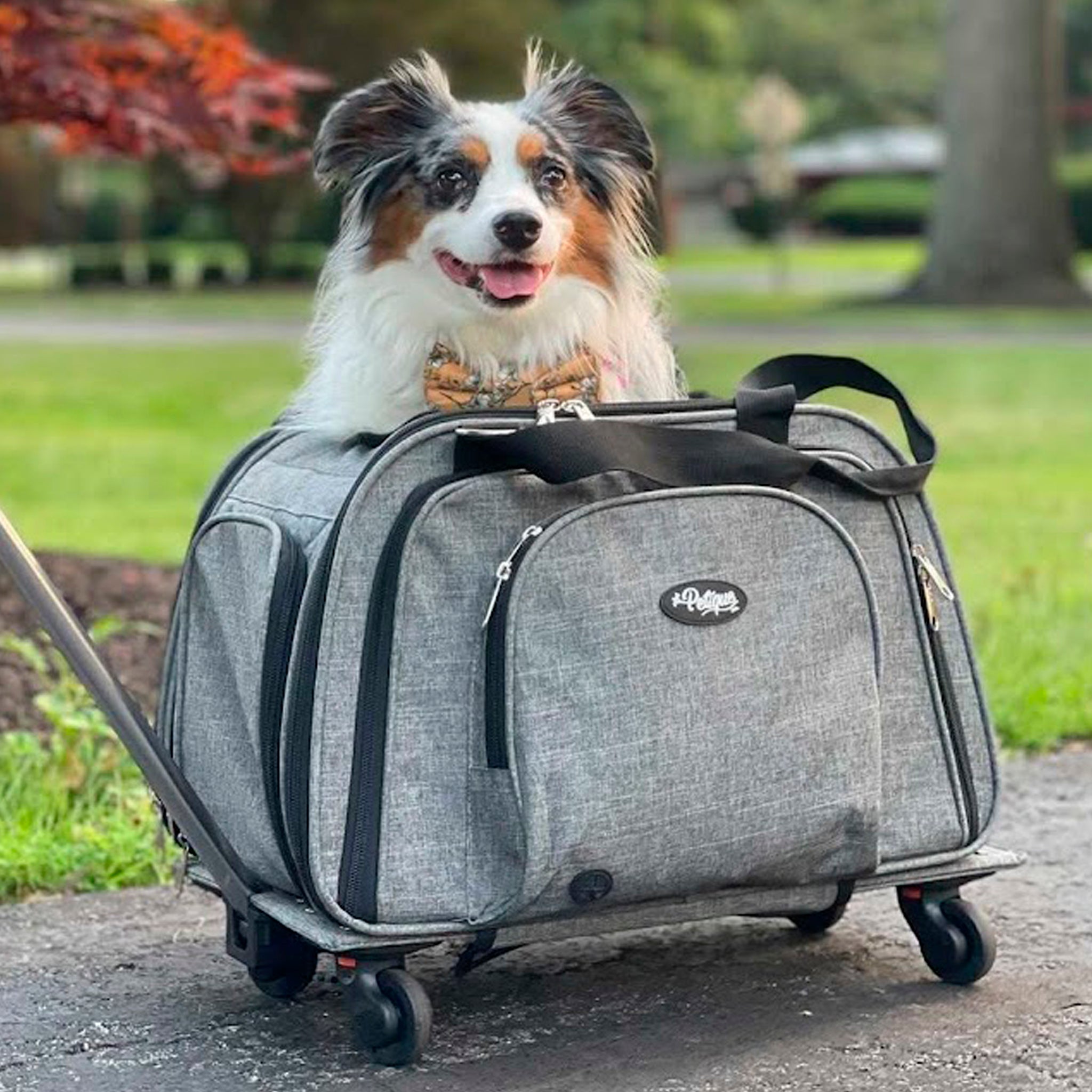 happycamperpetcarrier_7_2048x.