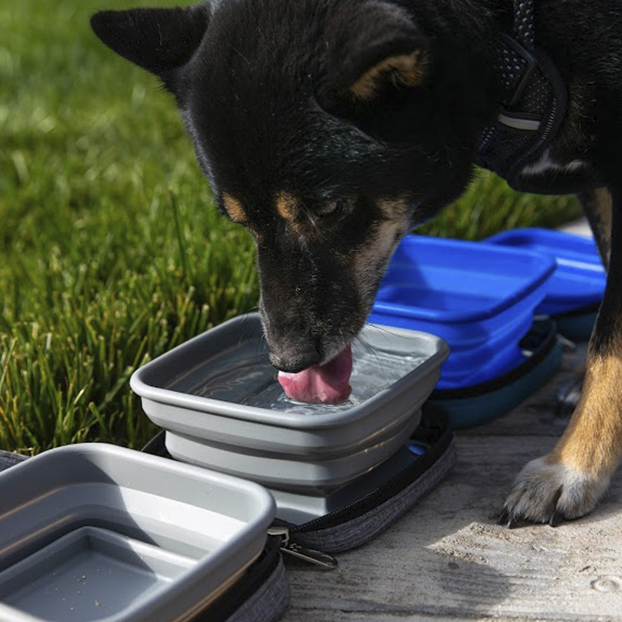Portabowls – Pet Travel Bowl, Water Bowls for Pets