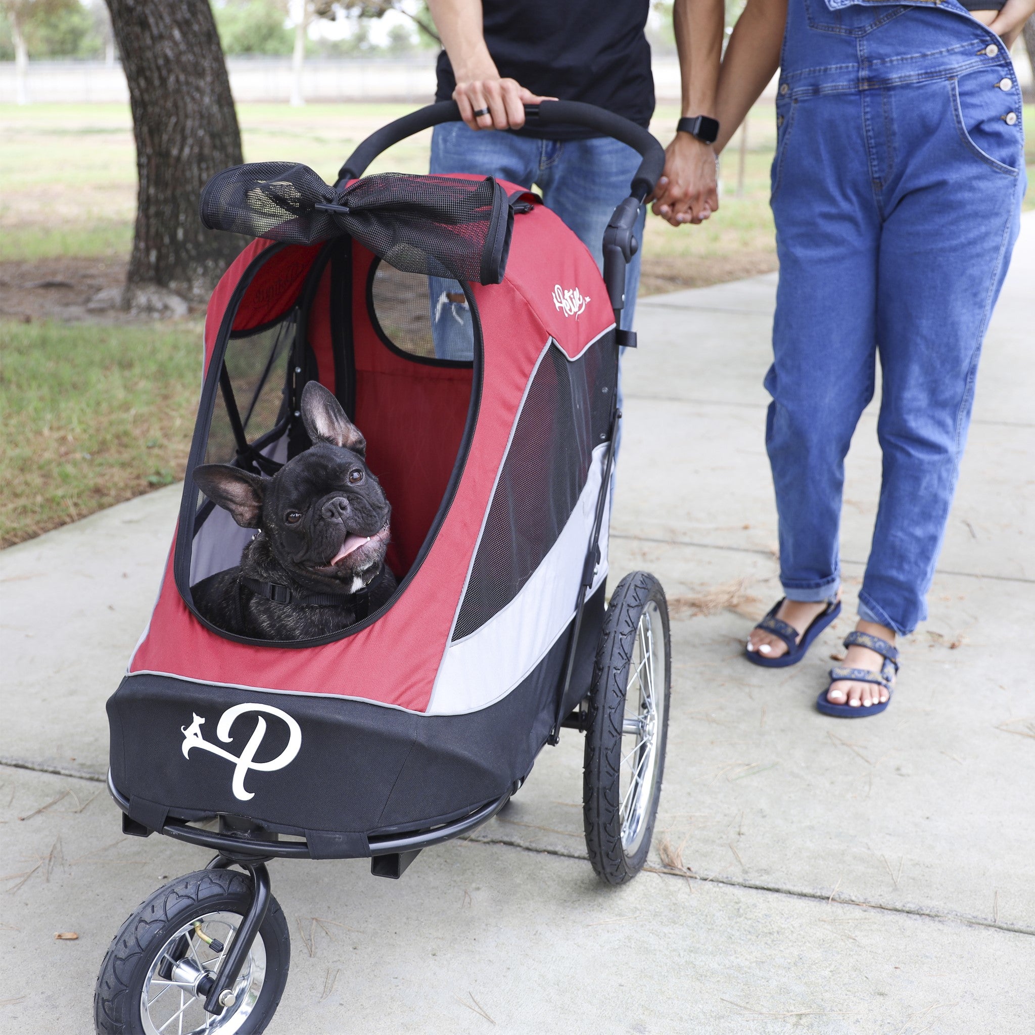 pet jogging stroller reviews Trailblazer Pet Jogger